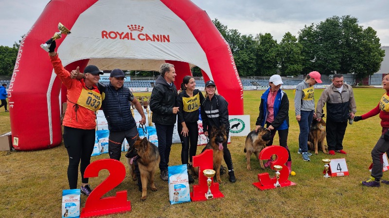 2023-06-1718-german-shepherd-specialized-dog-show-river-ir-sambuka